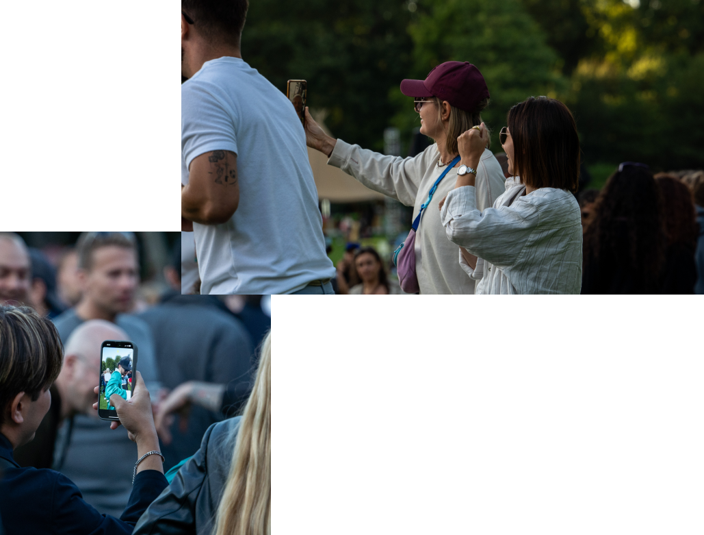 STELLA POLARIS image